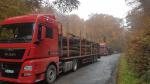 Skogsvagn - Transport och bekostnad