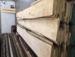 Lime Snickeri virke | Lövträ | Sågat virke | JAF HOLZ Slovakia