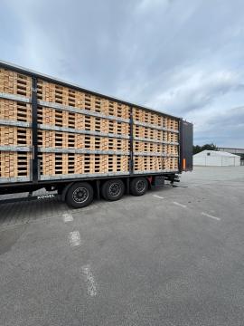 Pallar Engångspallar | Förpackningar, paletter | Woodproo s.r.o.