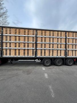 Pallar Engångspallar | Förpackningar, paletter | Woodproo s.r.o.