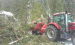 Annan utrustning Eschelbock Bieber 70, Case 255 |  Skogsmaskiner | Träbearbetningsmaskiner | ŠULEK FOREST, s. r. o.