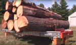 Stam- bandsåg Kanada -HD36 |  Sågningsteknik | Träbearbetningsmaskiner | Drekos Made s.r.o