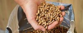 Pellets Gran |  Bränslen, briketter | SCOPULUS Handels-und Dienstleistungs GmbH 