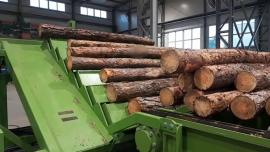 Annan utrustning Kompletn výroní Linka kulů . |  Sågningsteknik | Träbearbetningsmaskiner | Drekos Made s.r.o